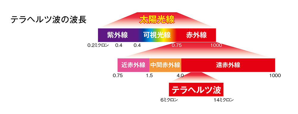 テラヘルツ波の波長